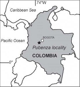Antecedentes de Colombia